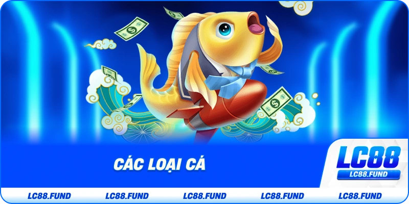 Các Loại Cá