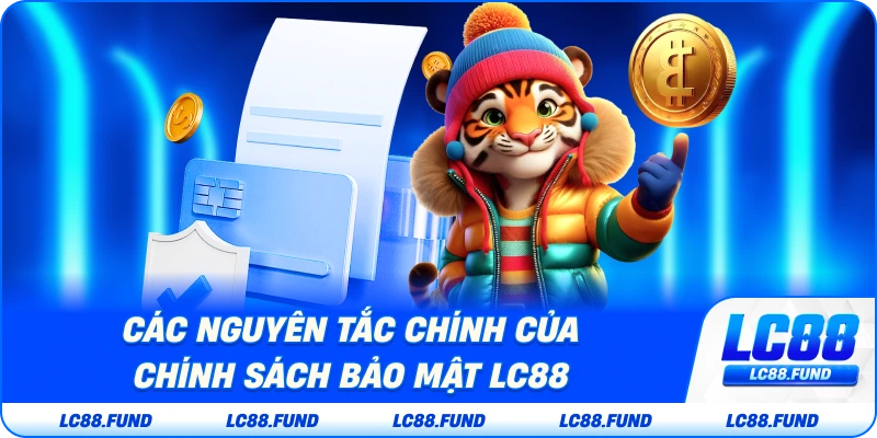 Các Nguyên Tắc Chính