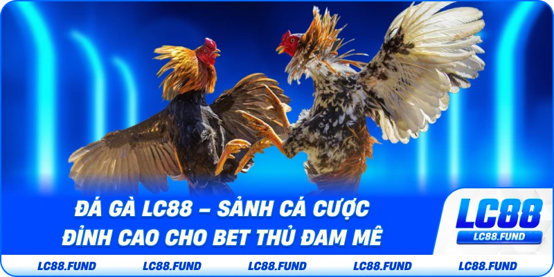 Đá Gà LC88 – Sảnh Cá Cược Đỉnh Cao Cho Bet Thủ Đam Mê