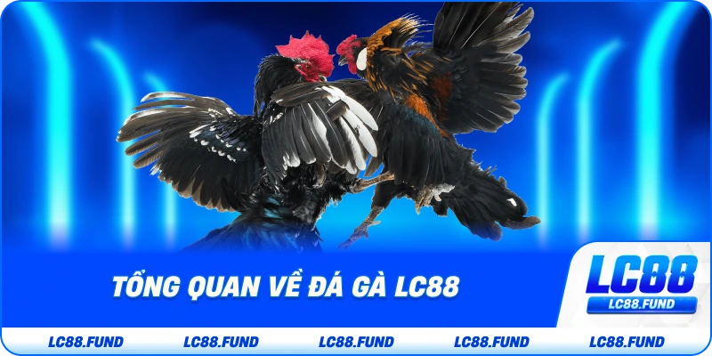Tổng Quan Về Đá Gà LC88